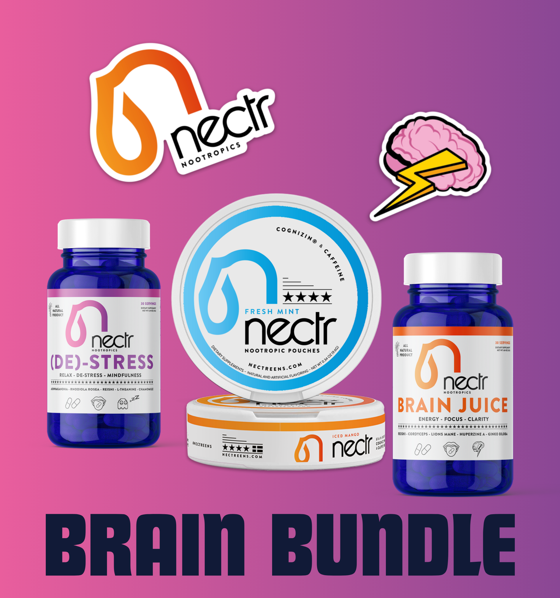 Brain Bundle