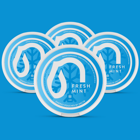 Energy Pouches Fresh Mint